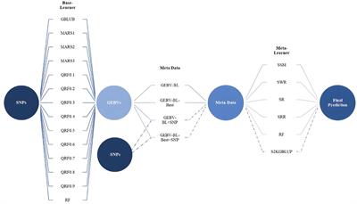 Enhancing genomic prediction with Stacking Ensemble Learning in Arabica Coffee